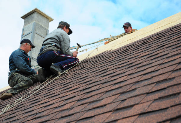 Best Storm Damage Roof Repair  in Stallings, NC